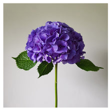 Load image into Gallery viewer, Floral Photographic Print - Purple Hydrangea
