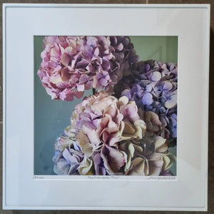 Floral Photographic Print - Hydrangea Trio